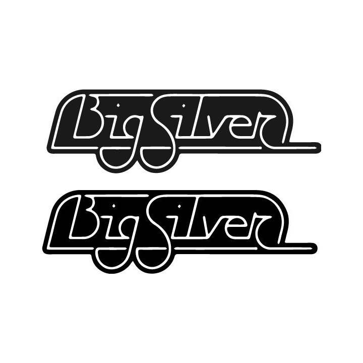 Buy Big Silver Caravan Sticker Online