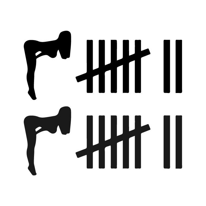 Bitches & Hoes Count Funny Stickers – Tally Decals (2-Pack)