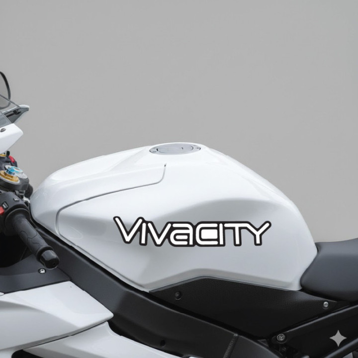 Peugeot Vivacity Stickers Decals 2x - DecalsHouse