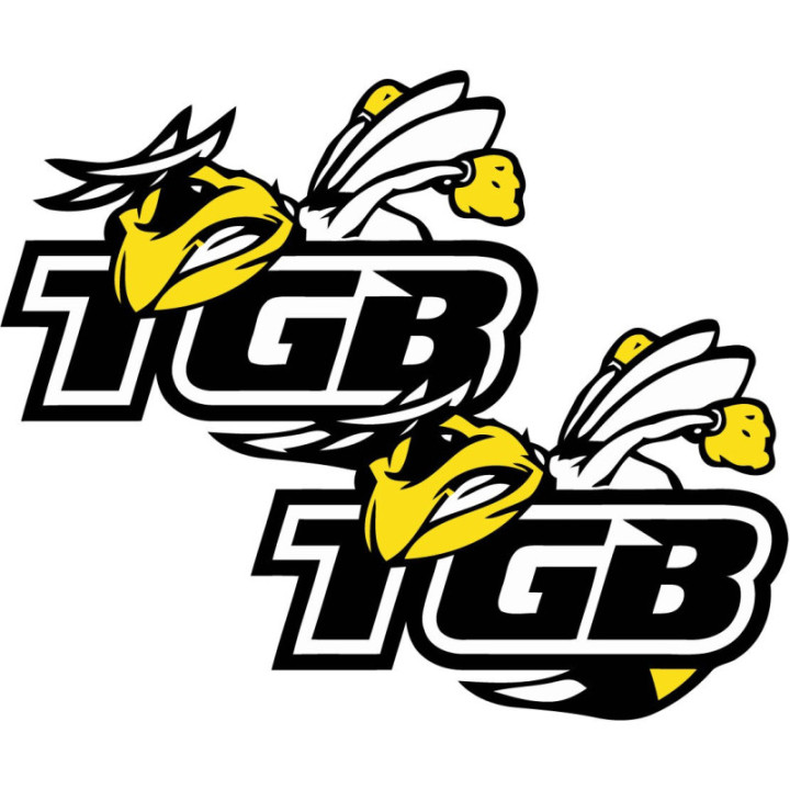 TGB Stickers – ATV & Scooter Side Panel Decals (2-Pack)