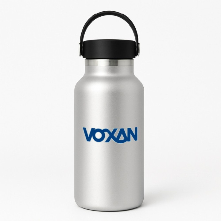 Voxan Logo Lettering Stickers Decals 2x - DecalsHouse