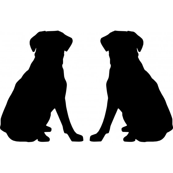 2x Labrador Retriever Dog 2...