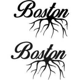 Buy Boston Roots Sticker Online