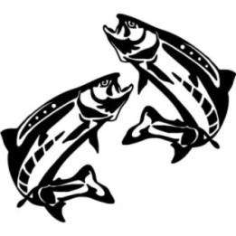Lake Trout Fishing 29 Die Cut Decals Stickers - DecalsHouse