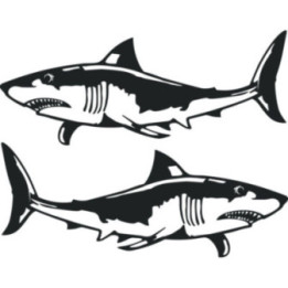 Shark Stickers – Great White Bull Tiger Decals (2-Pack)
