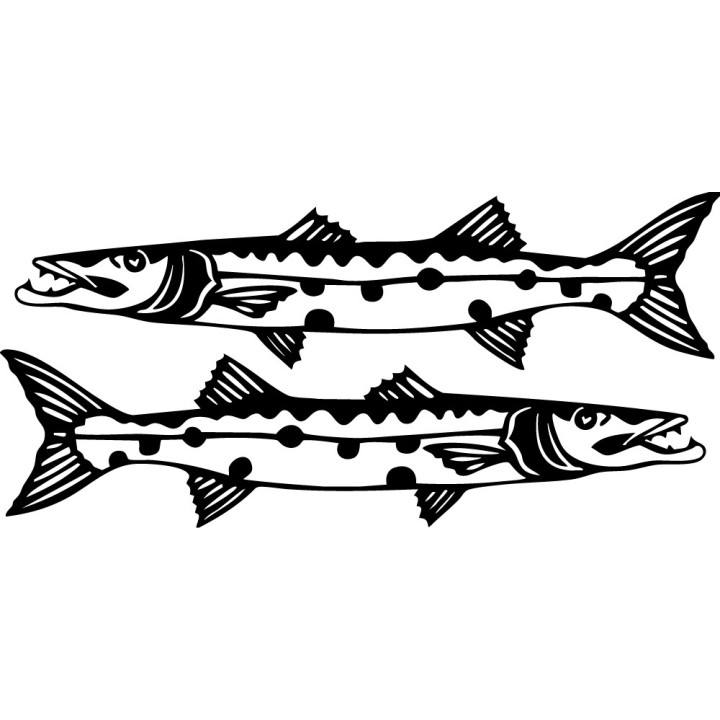 Barracuda Fishing 27 Die Cut Decals Stickers - DecalsHouse