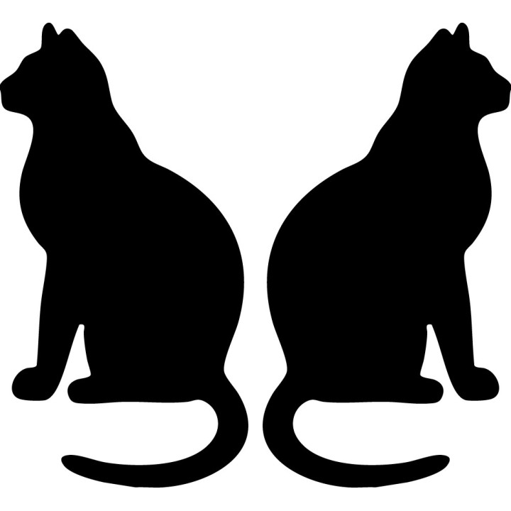 Buy Cat Online