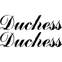 Buy Beechcraft Duchess Aviation Online