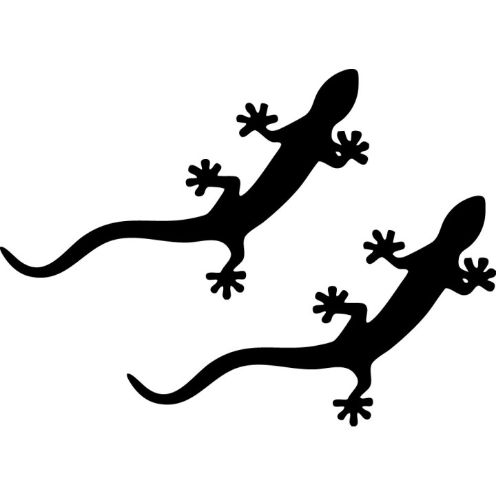 Buy Audi Quattro Gecko 1 Decal Sticker Online
