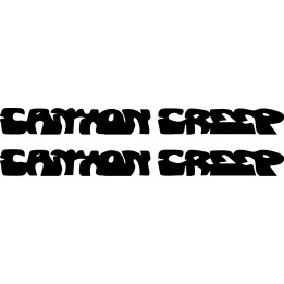 Canyon Creep Stickers – Psychedelic Rock Decals (2-Pack)