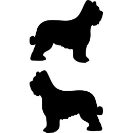 Buy Briard Dog Sticker Online