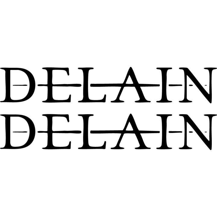 Delain Stickers – Symphonic Metal Decals (2-Pack)