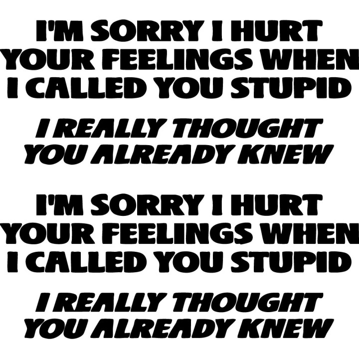 I'm Sorry I Hurt Your Feelings Stickers – Funny Decals (2-Pack)