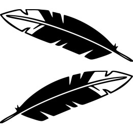 Buy Native American Eagle Feather Vinyl Decal Sticker Online