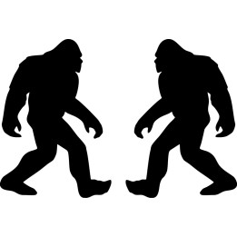Buy Sasquash Bigfoot Vinyl Decal Sticker Online