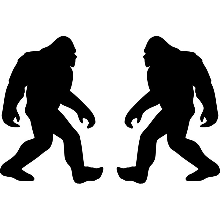 Buy Sasquash Bigfoot Vinyl Decal Sticker Online