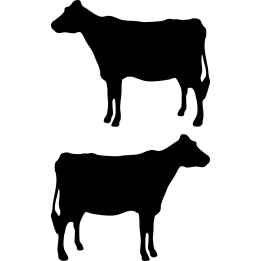 Cow Silhouette Stickers – Cattle Heifer Decals (2-Pack)