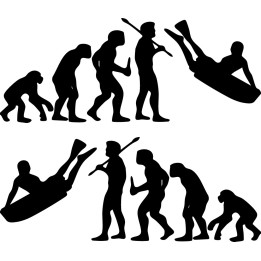 Buy Evolution Of Bodyboarding Surf Vinyl Sticker Decal Online