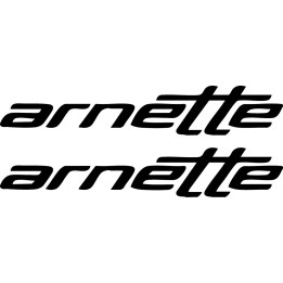 Buy Arnette Text Surfing Decal Sticker Online