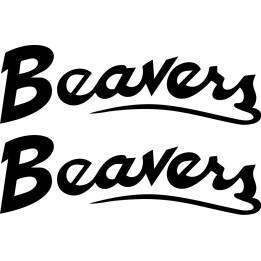 Beaver Decal Sticker V21 - DecalsHouse