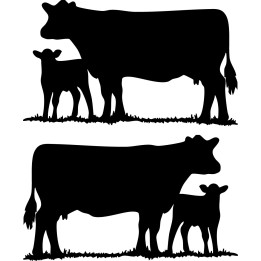 Cow and Calf Stickers – Cattle Silhouette Decals (2-Pack)