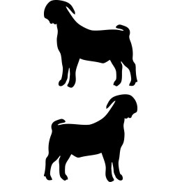 Boer Goat Stickers – Farm Animal Silhouette Decals (2-Pack)