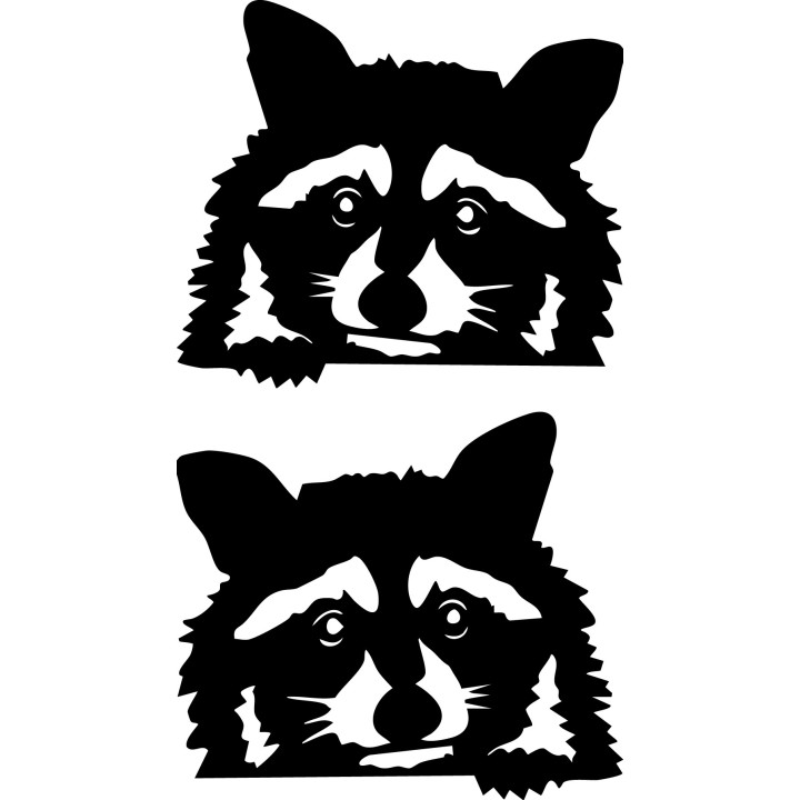 Raccoon Coon Vinyl Decal Sticker V19 - DecalsHouse