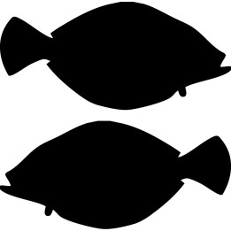 Flounder Trout Vinyl Decal Sticker V3 - DecalsHouse