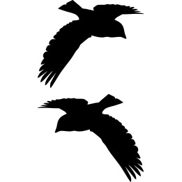 Pigeon Vinyl Decal Sticker V14 - DecalsHouse