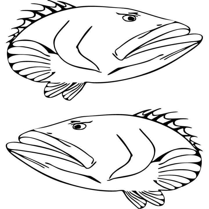Grouper Vinyl Decal Sticker V2 - DecalsHouse
