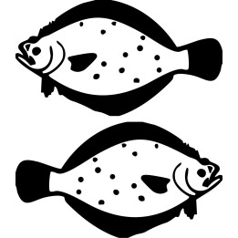 Flounder Trout Vinyl Decal Sticker V5 - DecalsHouse