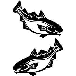 Cod Fish Stickers – Sea Fishing Decals (2-Pack)
