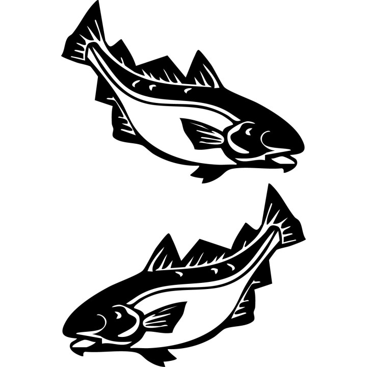 Cod Fish Stickers – Sea Fishing Decals (2-Pack)