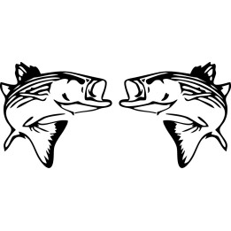 Chilean Sea Bass Stickers – Deep Sea Fishing Decals (2-Pack)