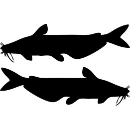 Catfish Vinyl Decal Sticker V8 - DecalsHouse