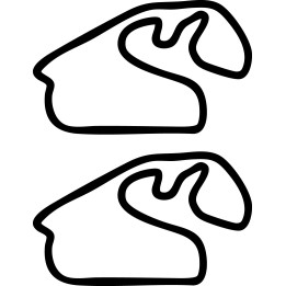Buy AUTODROMO JOSE CARLOS PACE INTERLAGOS DECAL Online