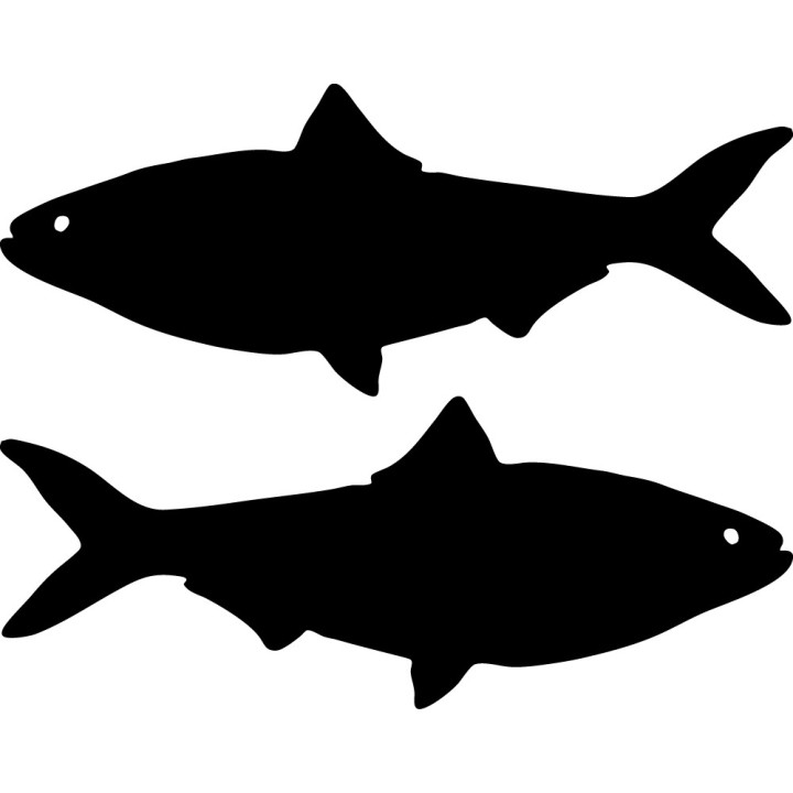 Shad Fish Stickers – Baitfish Fishing Decals (2-Pack)