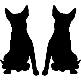 Buy Rat Terrier Dog 2 Vinyl Decal Sticker Online