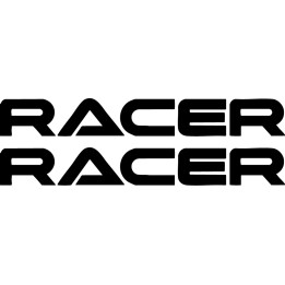Buy Racer 2 Vinyl Decal Sticker Online