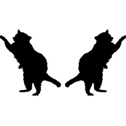 Buy Raccoon Silhouette Decal Sticker Online