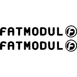 Buy Fatmodul Decal Sticker Online