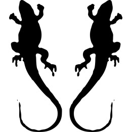 Buy Fat Lizard Decal Sticker Online