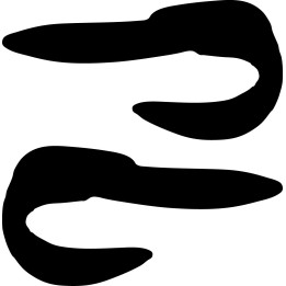 Buy Eal Decal Sticker Online