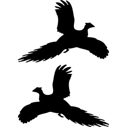 Buy Pheasant Silhouette Decal Sticker Online
