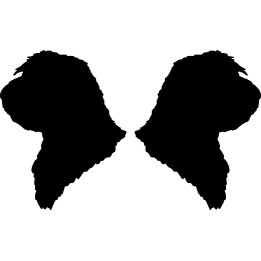 Buy Petit Basset Griffon Dog 2 Vinyl Decal Sticker Online