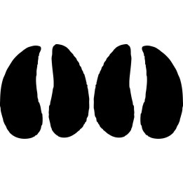 Buy Peccary Paw Print Foot Track Decal Sticker Online