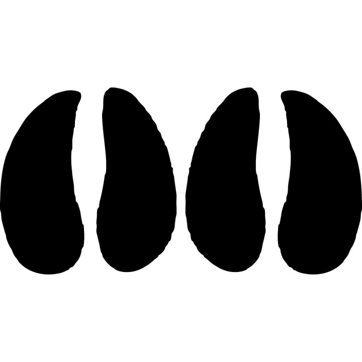 Buy Peccary Paw Print Foot Track Decal Sticker Online