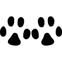Buy Paw Print 1 Decal Sticker Online