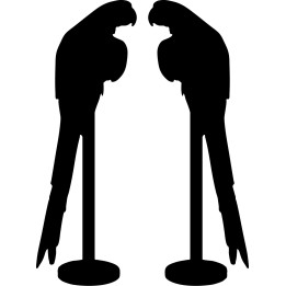 Buy Parrot Parakeet Bird Pet 3 Vinyl Decal Sticker Online