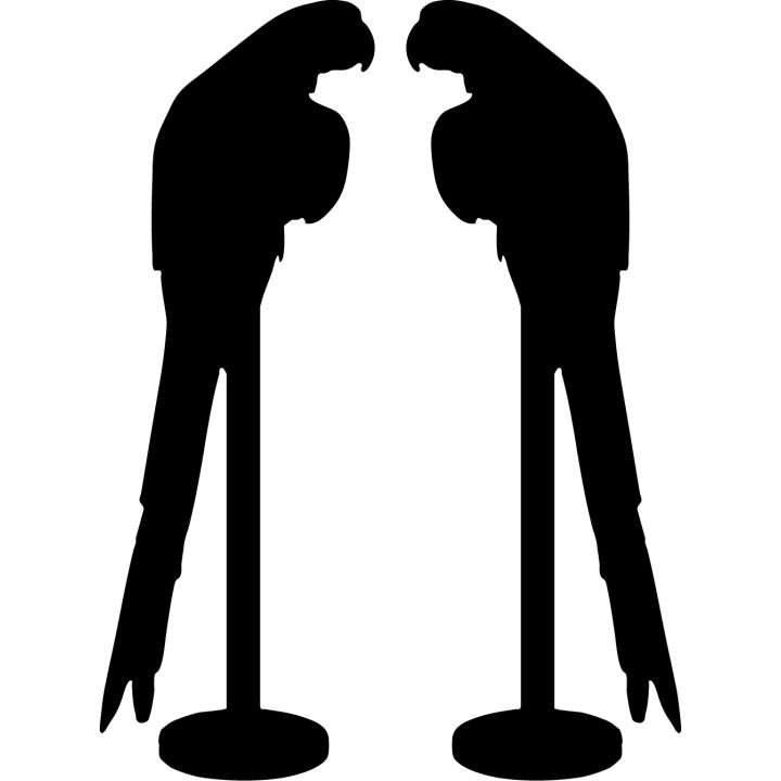 Buy Parrot Parakeet Bird Pet 3 Vinyl Decal Sticker Online